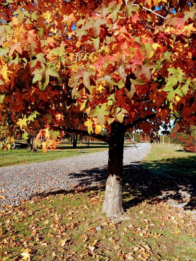 סן פדרו Casa De Campo Liquidambar מראה חיצוני תמונה